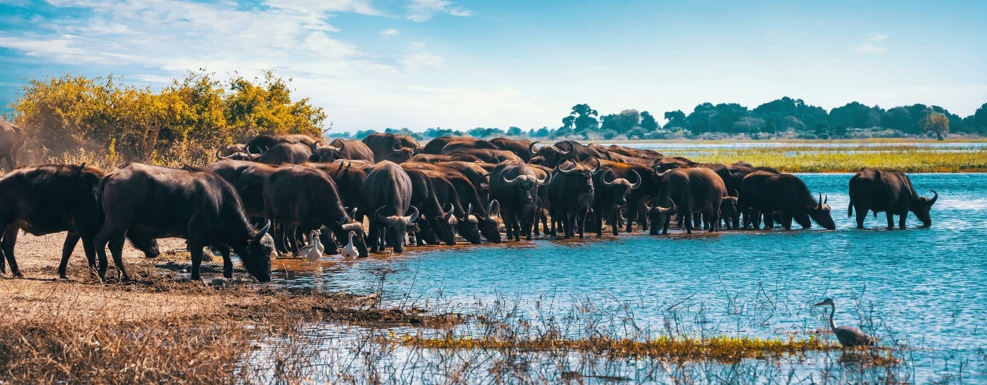 Leben und arbeiten in Botswana