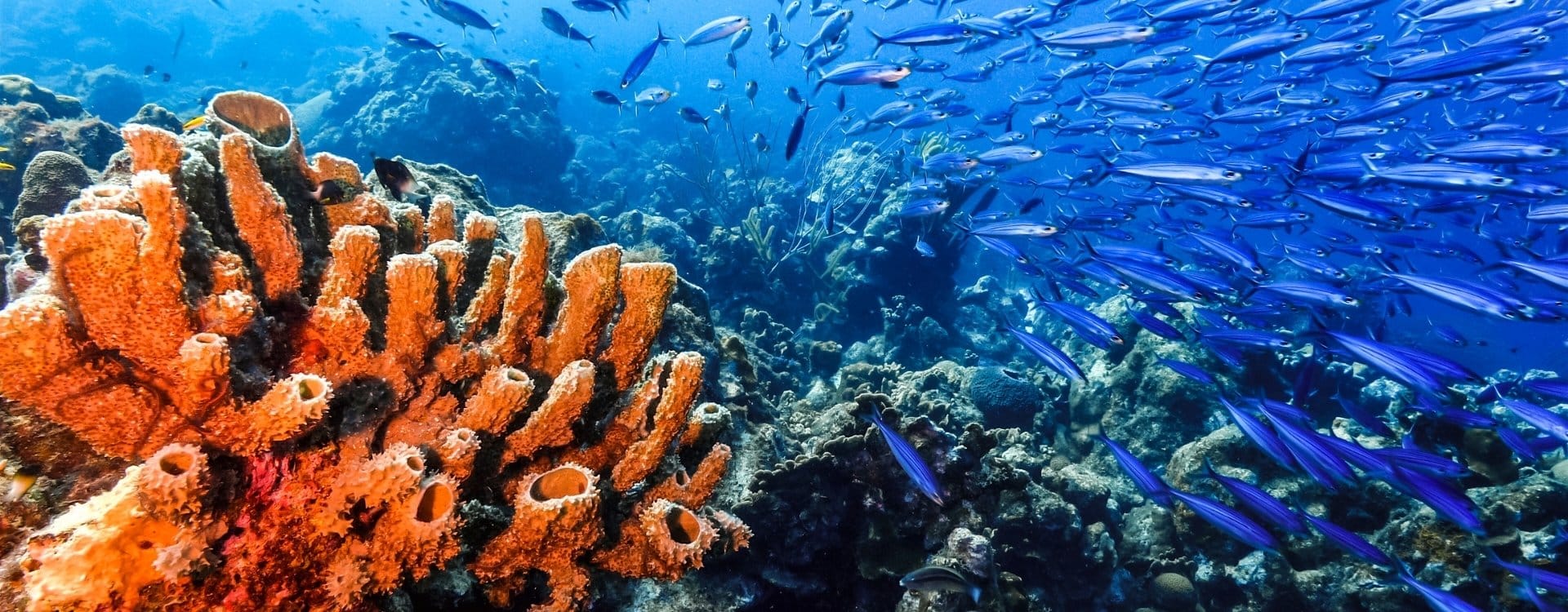 Leben und arbeiten in Curacao