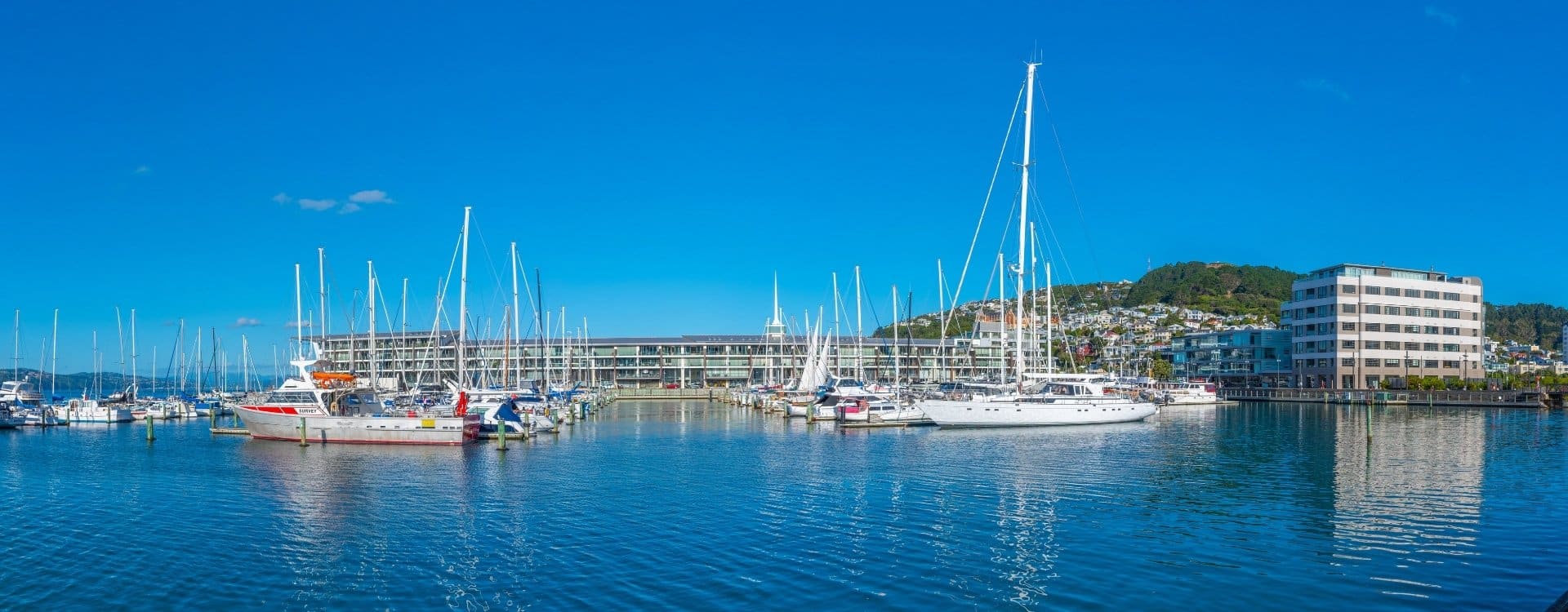 Visa samt rejseforsikring i New Zealand