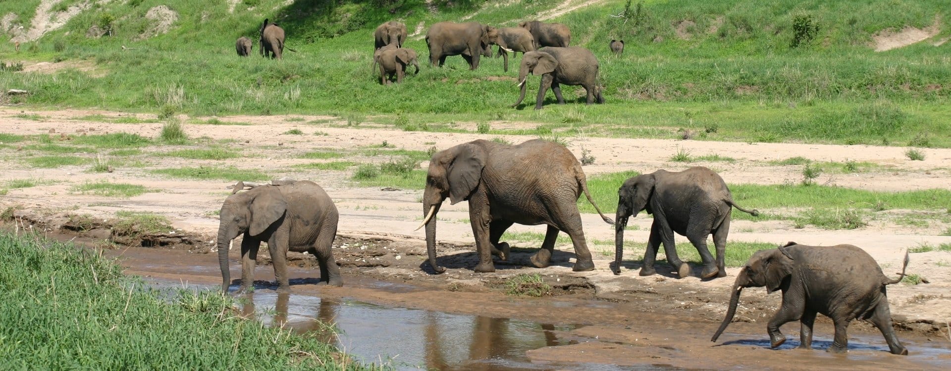 Vrijwilligerswerk in Botswana