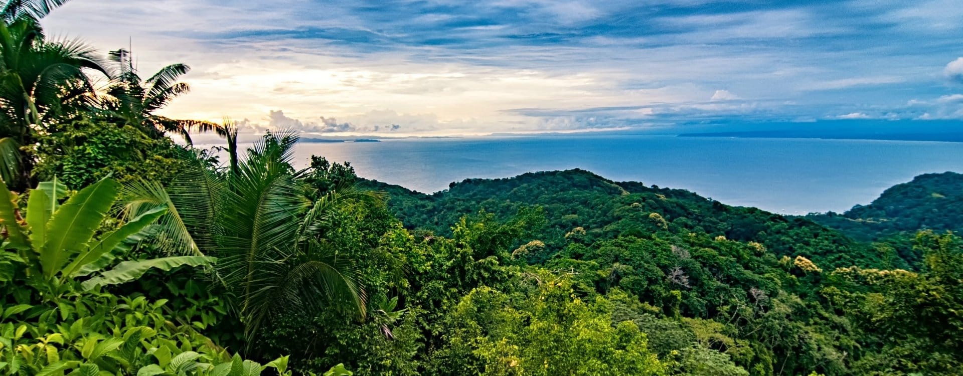Vrijwilligerswerk in Costa Rica