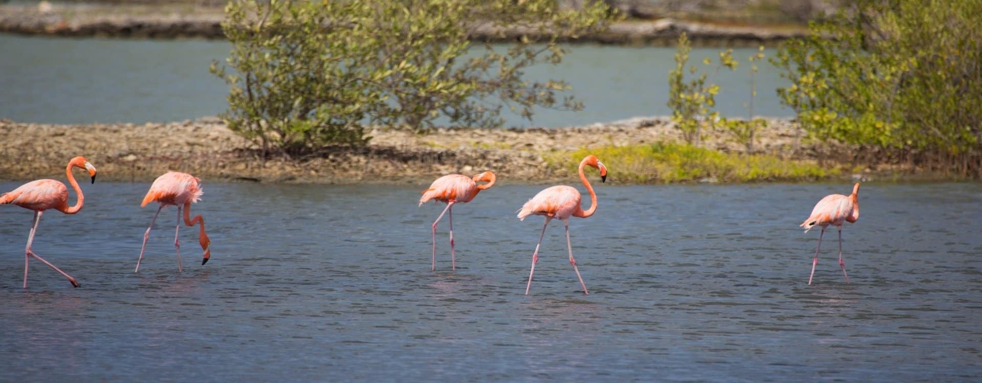 Wonen en werken op Curaçao