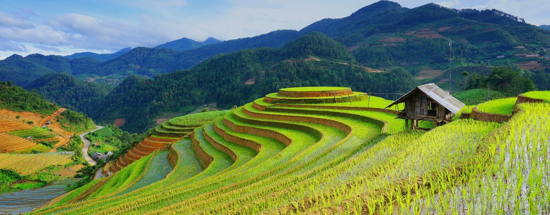 Vrijwilligerswerk in Laos