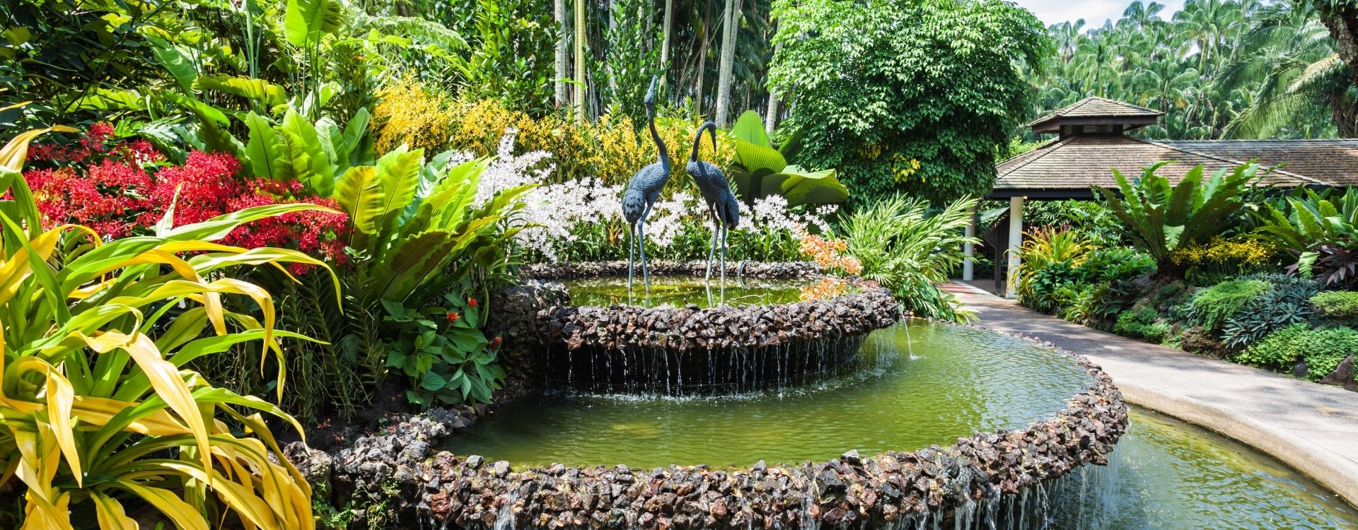 Vrijwilligerswerk in Singapore