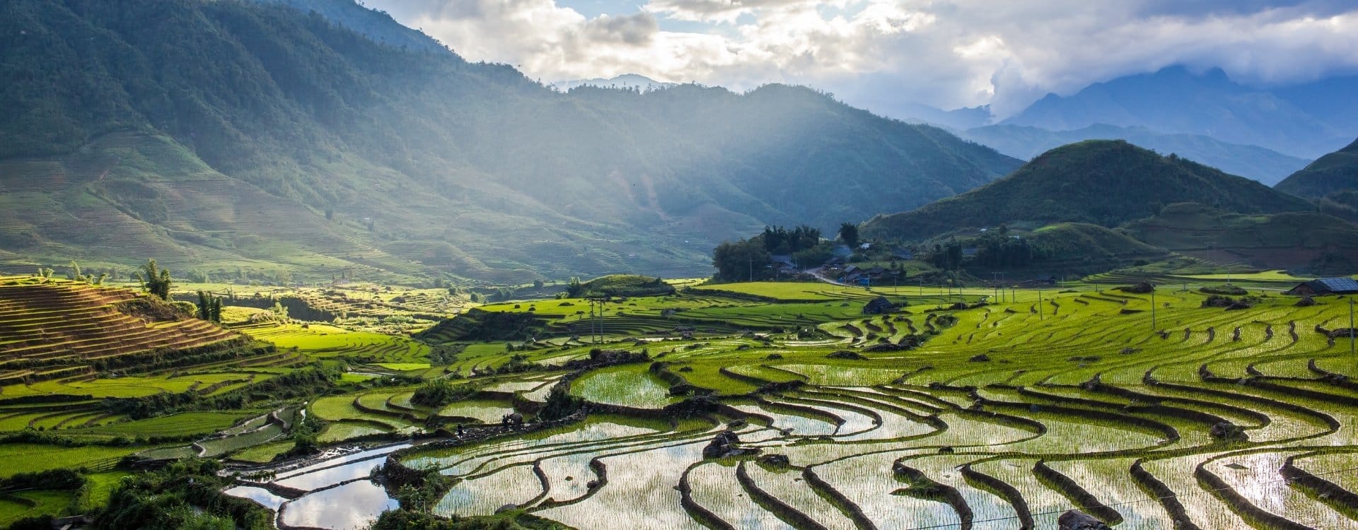 Wonen en werken in Vietnam
