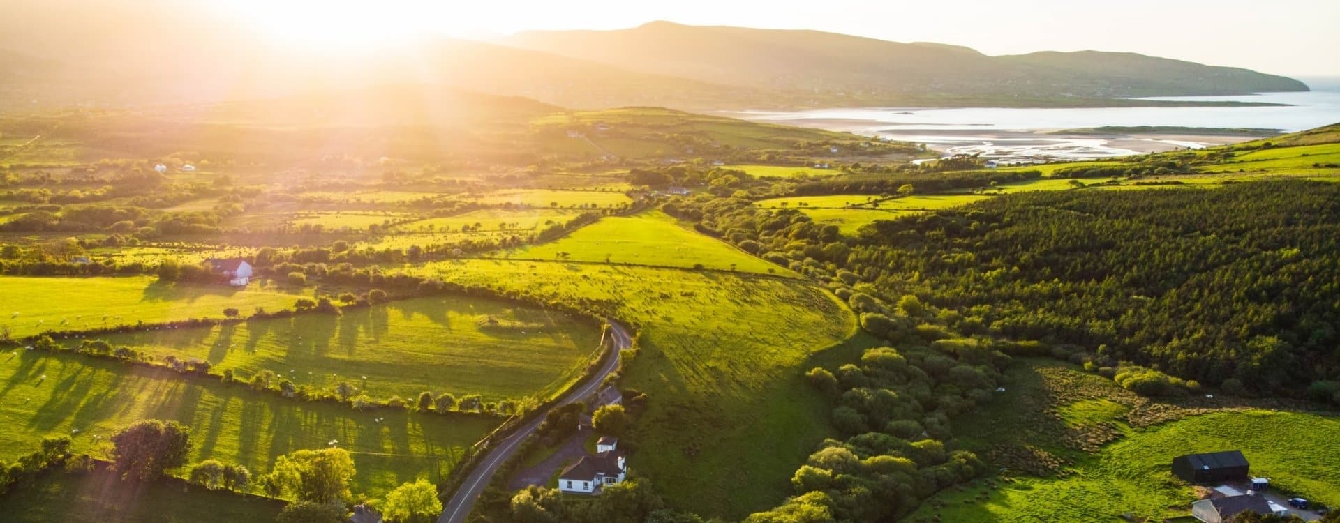 Wonen en werken in Ierland