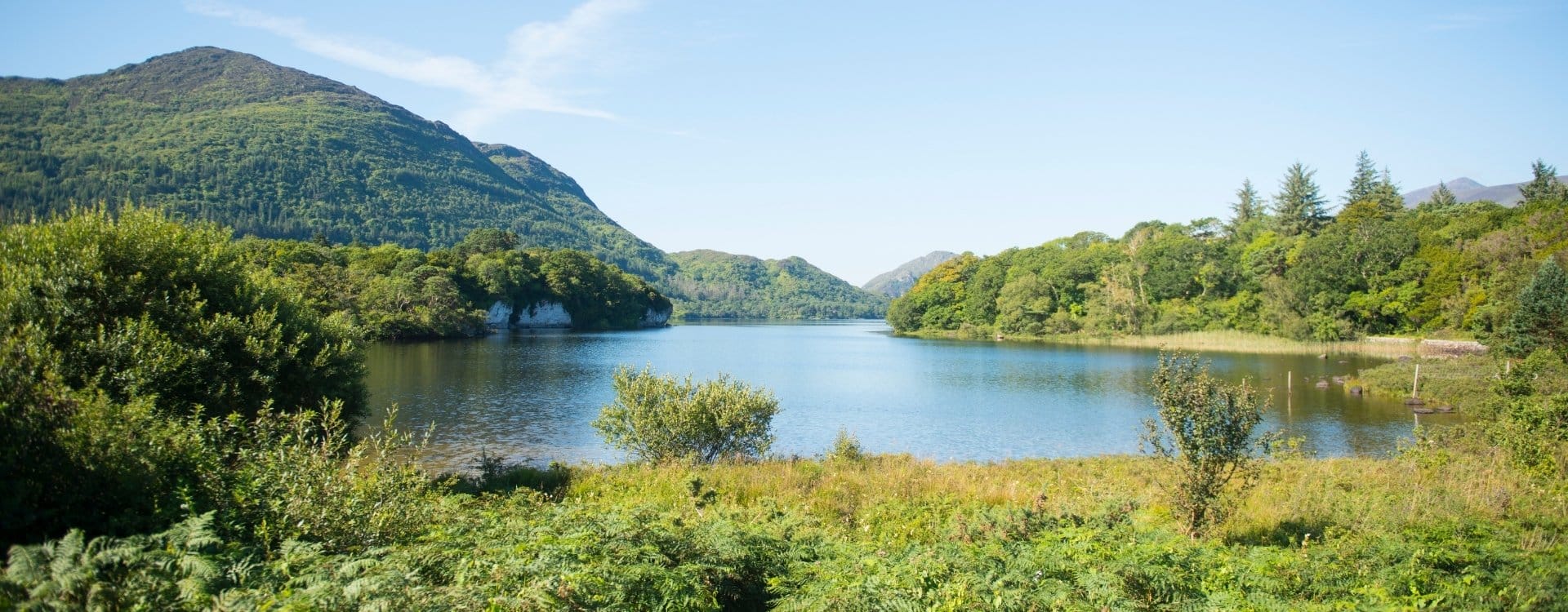 Jobba i Irland