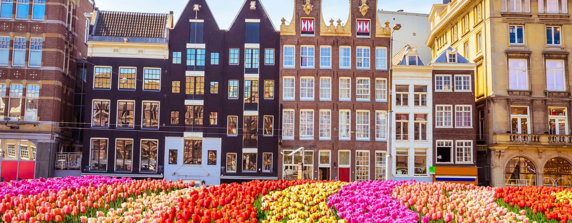 leva och jobba i Amsterdam