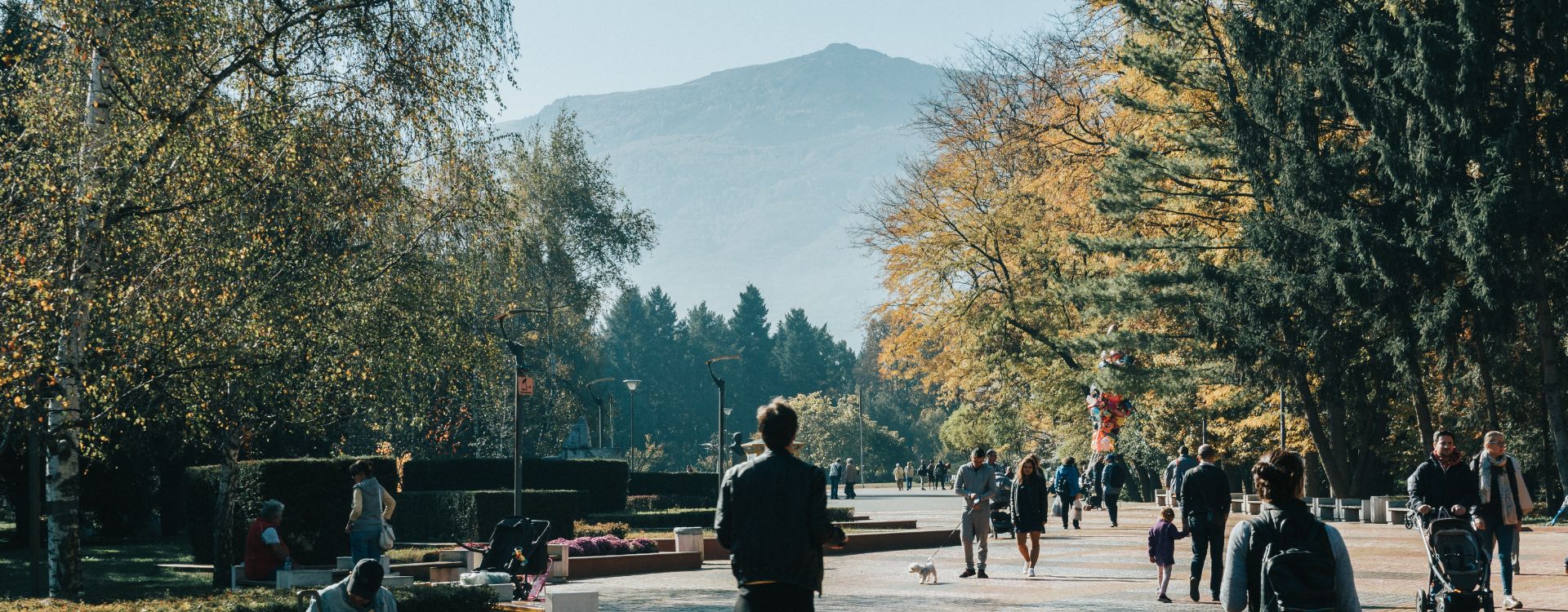 Administratieve wizzard gezocht in Sofia, Bulgarije