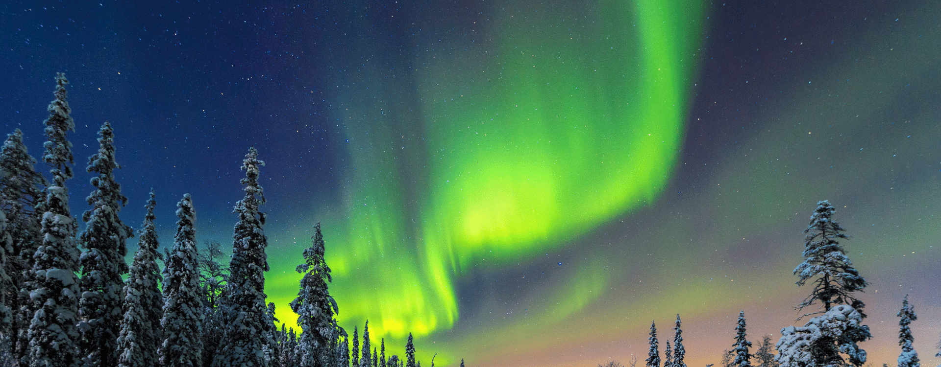 WaiterWaitress-needed-at-Aito-Igloo-and-Spa-Resort-in-Finland
