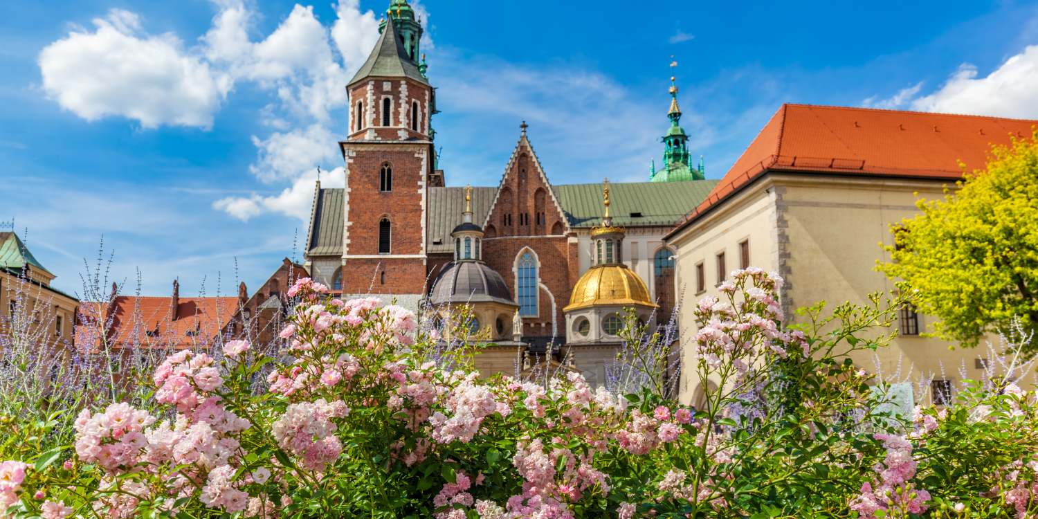 Digital Sales Representative with Slovak-English