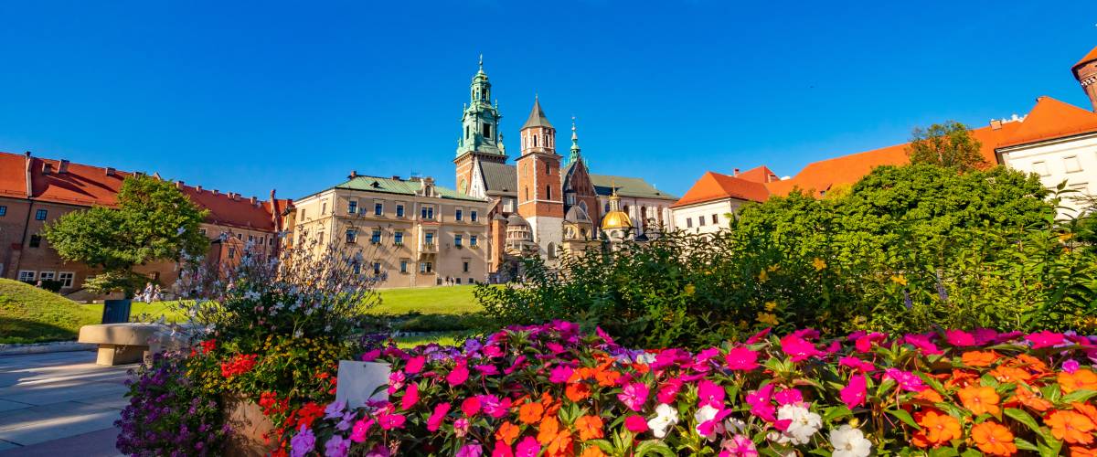 Digital Sales Representative with Romanian-English