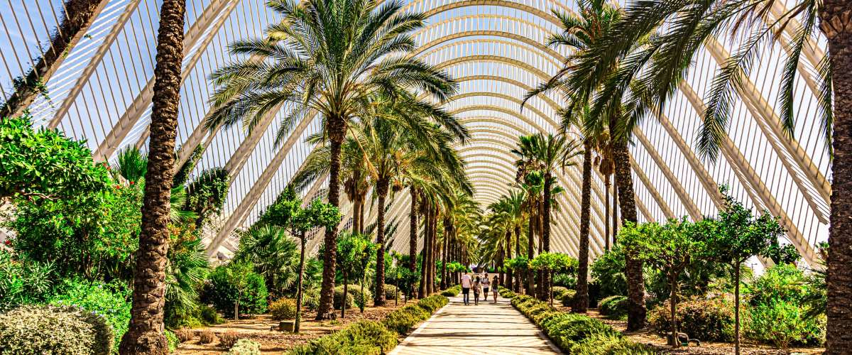 Start-je-avontuur-in-Valencia-Fulltime-Sales-Job-in-de-Zon
