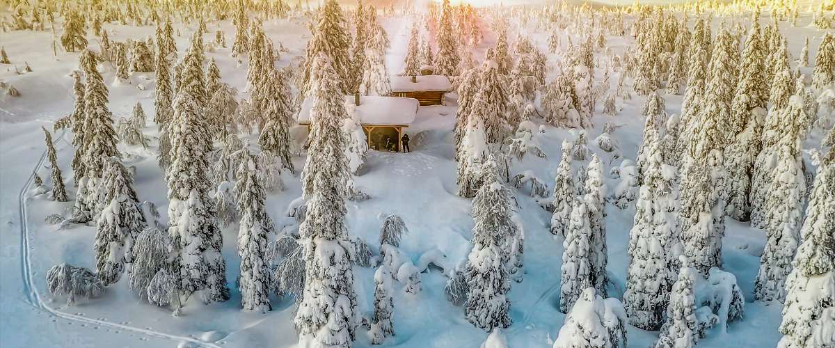 Operation-Coordinator-in-Lapland-–-Plan-Arctic-Adventures-in-Finland