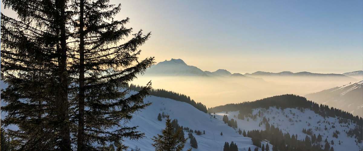 WaiterWaitress-at-Le-Local-Morzine-10th-Dec-2025-6th-April-2026-1.j