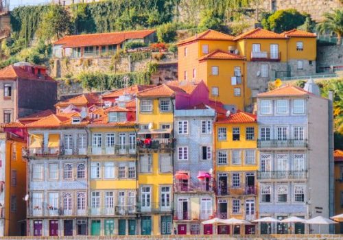 Speak Dutch? Start Your Career in Customer Support Under the Lisbon Sun
